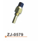 Датчик температуры воды ZJ-0579