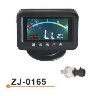 Метр ZJ-0165 LCD